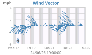 Wind Vector